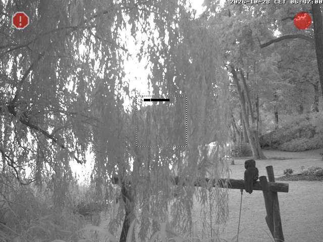 Camera localcam:Ereignisbild Nr. 3