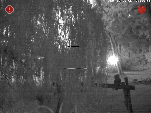 Camera Live Image