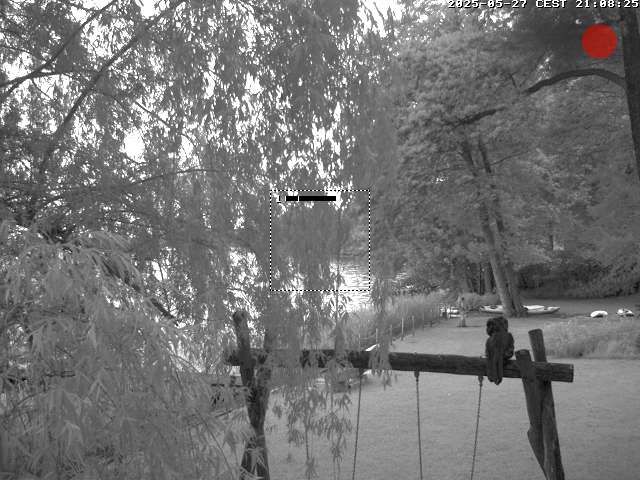 Camera Live Image
