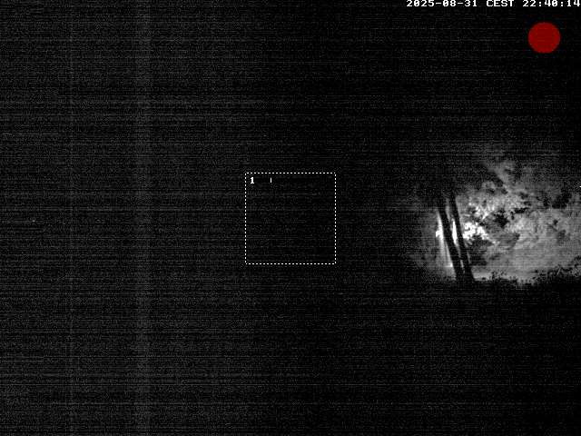 Camera Live Image