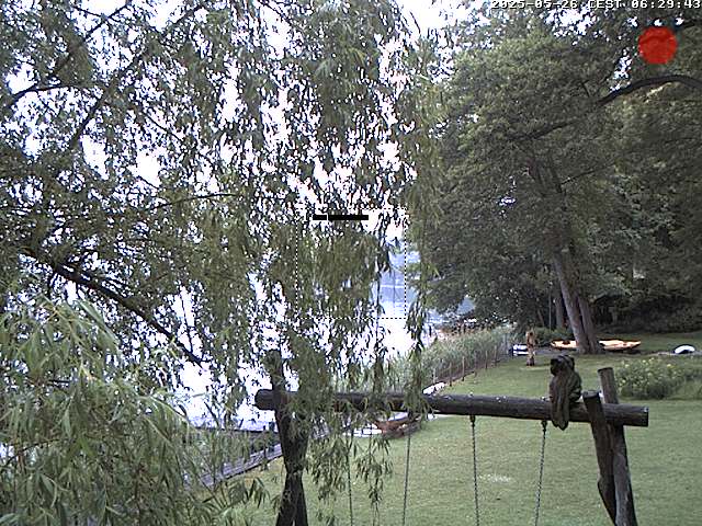Camera Live Image