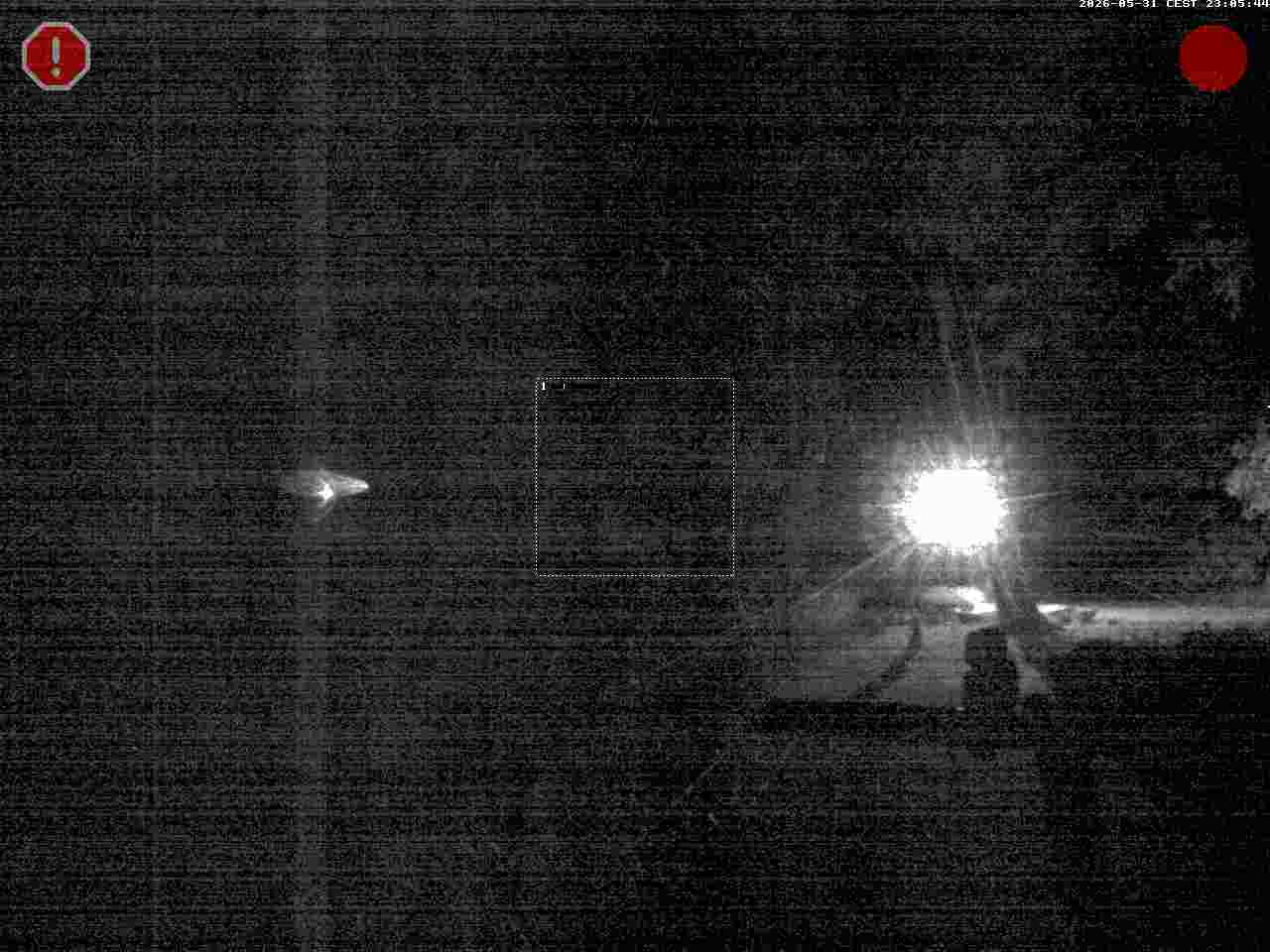 Camera Live Image