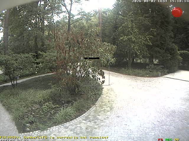 Camera Live Image