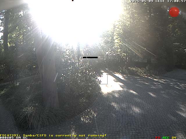 Camera Live Image