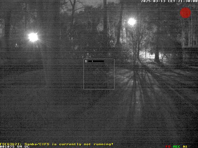 Camera Live Image