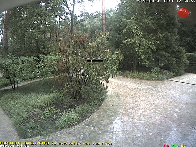 Camera Live Image