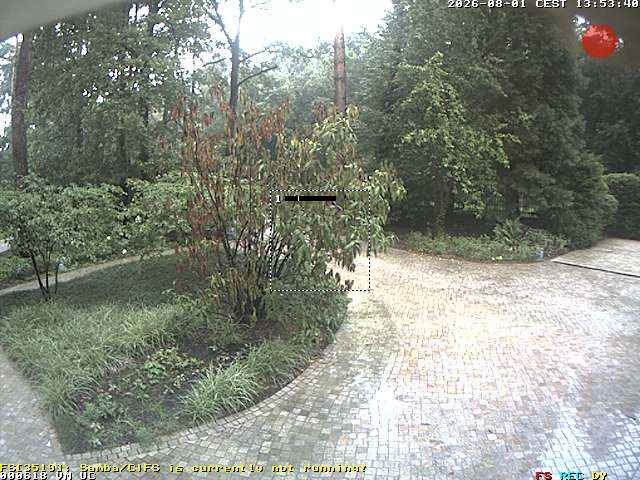Camera Live Image